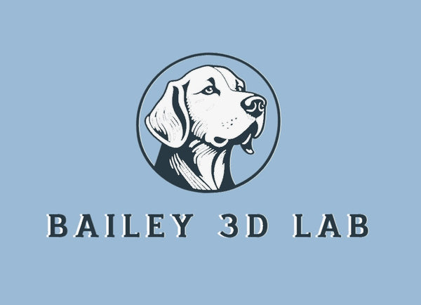 Bailey 3D Lab